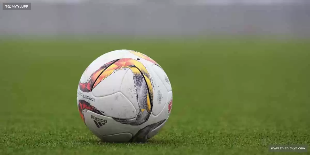 澳门美高梅娱乐场——🎯百步穿杨，精准致胜！